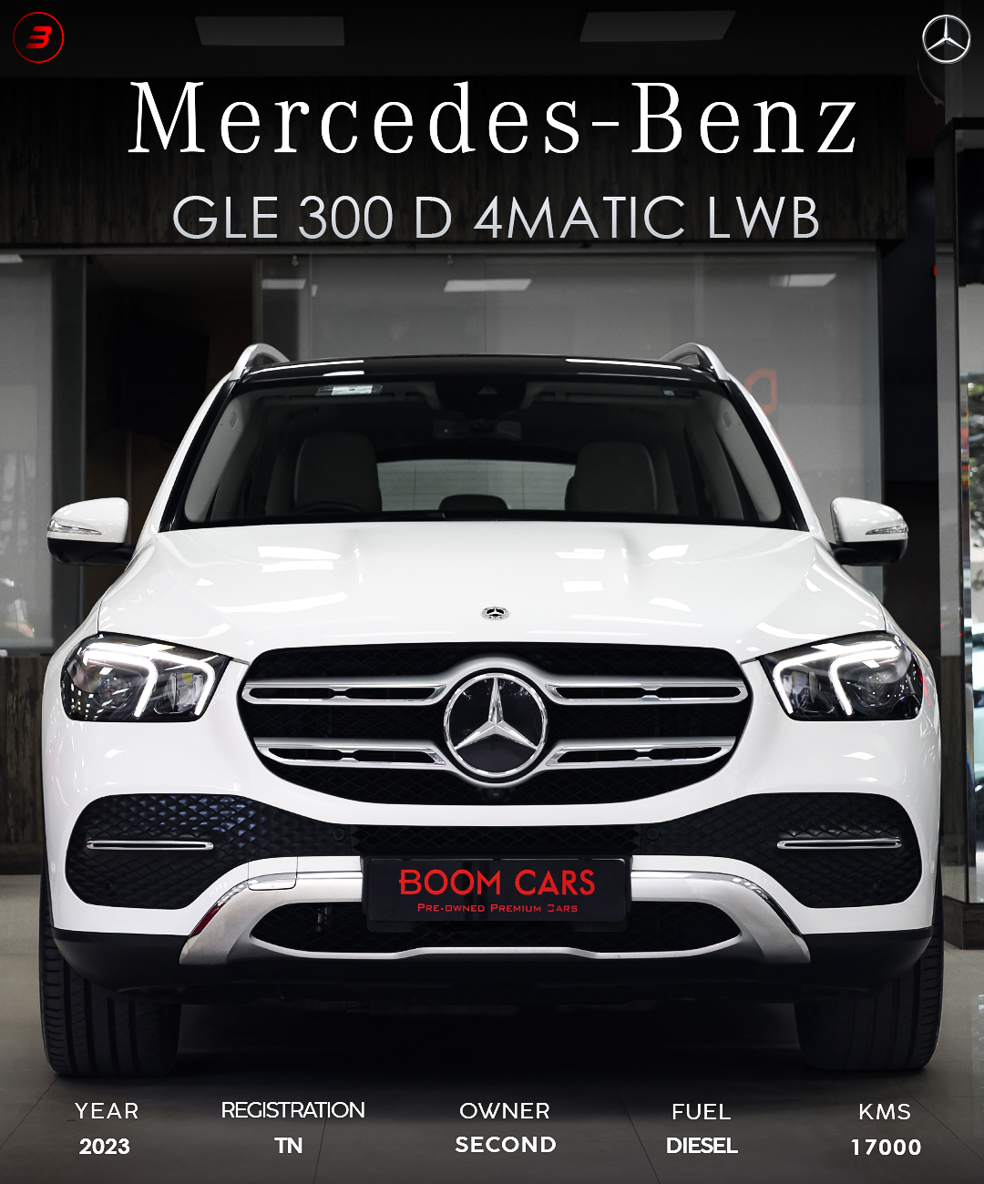 Mercedes-Benz GLE 300D 4MATIC LWB